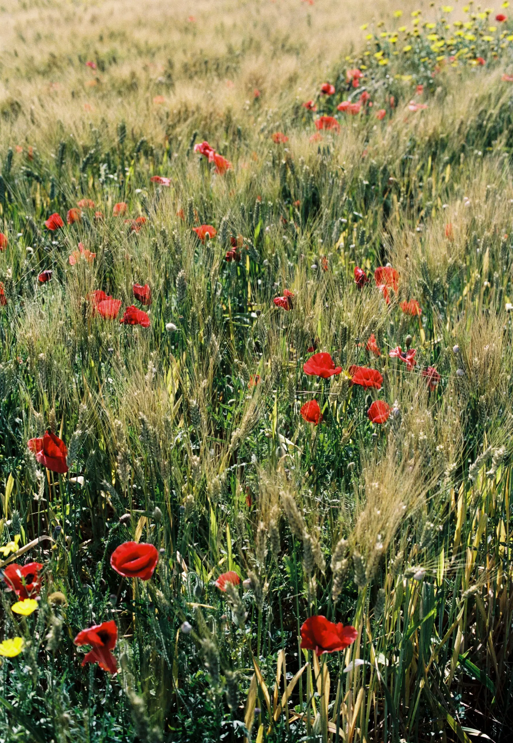 La Biosthetique Corporate CSR 7